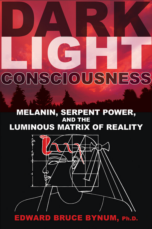 DARK LIGHT CONSCIOUSNESS